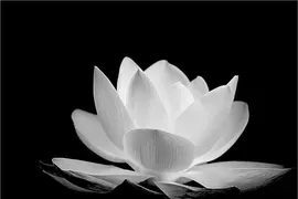 Tiễn biệt thầy Đoàn Trung Dũng...