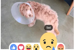 Facebook bổ sung sáu biểu tượng cảm xúc cho người dùng VN