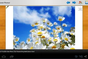 Kho ảnh nền cực đẹp cho ngày 8/3