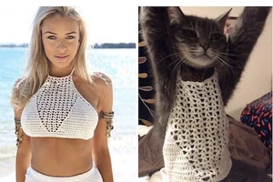 Chết cười với những sự cố khi mua hàng trực tuyến