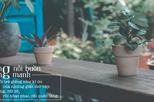 4 ứng dụng không thể thiếu cho các tín đồ sống ảo