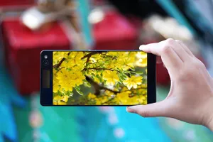 2 cách mang không khí Tết lên smartphone