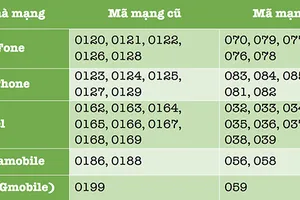 2 cách chuyển số điện thoại 11 số về 10 số