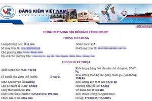 Cách tra cứu phạt nguội trên ô tô