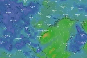 Cách theo dõi tình hình thời tiết sau cơn bão số 3