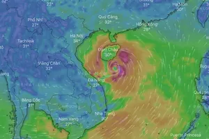Cách theo dõi đường đi của cơn bão số 4 (Podul)