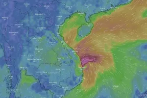 Cách theo dõi đường đi của cơn bão số 5 bằng điện thoại