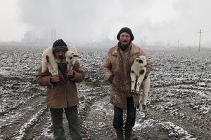 Danh sách những bức ảnh đẹp nhất được chụp bằng iPhone trong năm 2021