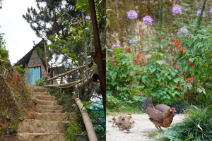 Vì sao người Việt thích đi du lịch theo nhóm thay vì đi một mình? 