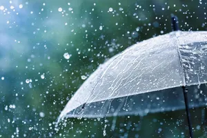 Nghiên cứu cho thấy nước mưa hiện không an toàn để uống