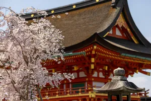 Du lịch ngắm hoa nở rộ trong tháng 4