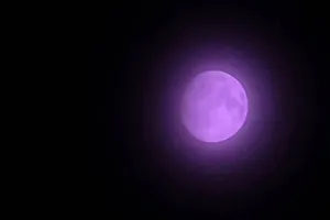 Tin công nghệ 13-8: Người dùng Samsung than thở vì lỗi camera trên One UI 8