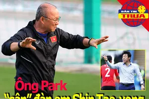 Ông Park 'cân' đàn em Shin Tae-yong; Thái Lan hướng đến 2026