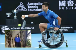 Một Djokovic lập dị, đứng ôm cây mỗi khi đến Melbourne