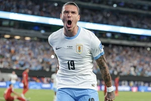 Sao Liverpool bị cấm thi đấu 5 trận