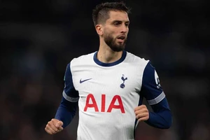 Spurs phản đối án treo giò 7 trận hà khắc của FA