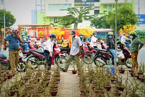 Video: Nhà vườn giảm giá mai vàng phục vụ người dân chơi Tết