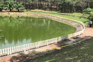 Video: Bé trai 11 tuổi mất tích, tìm thấy thi thể ở hồ nước gần nhà