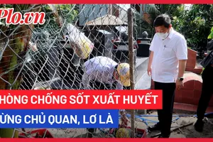 TP.HCM: Phòng chống dịch sốt xuất huyết đừng chủ quan, lơ là