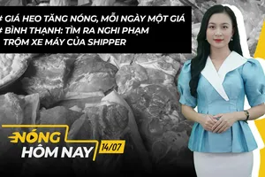 Nóng hôm nay: Giá heo tăng, mỗi ngày một giá 
