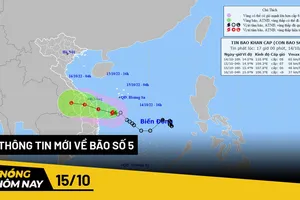 Nóng hôm nay: Giá xăng nhập đang tăng mạnh