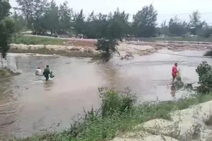 Video: Người dân mất trắng hơn 32 tấn cá lóc vì mưa lũ ở Quảng Bình