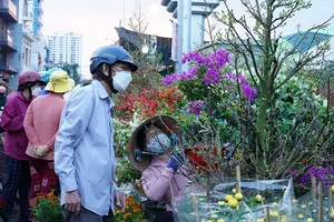 Video: Tham quan Chợ hoa xuân ‘Trên bến dưới thuyền’ ngày khai mạc