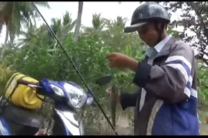 Cần thủ câu cá lóc 'bách phát bách trúng' ở Cà Mau