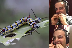 Những pha lồng tiếng 'không thể tin nổi'