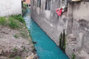 TP.HCM: Sau mưa, nước kênh có màu xanh, đỏ