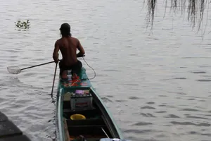 Cá, rùa vừa phóng sinh đã bị ‘vợt’ ngay trên sông