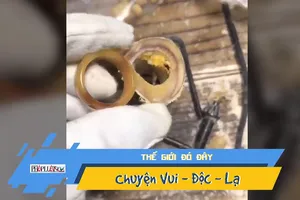 Bạn từng thấy người ta biến xương bò thành trang sức?