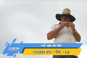 Vào rừng, vô tình đào được cục vàng 2 kg