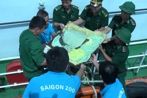 Video: Bộ đội biên phòng và Thảo Cầm Viên thả rùa quý về biển