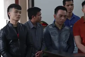 Video: Khá 'bảnh' bị phạt 10,5 năm tù, tịch thu gần 5 tỉ đồng