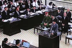 Video: Cựu phó tổng giám đốc MobiFone bật khóc tại tòa