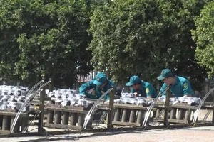 Video: Trận địa pháo hoa chào mừng năm mới trước giờ G