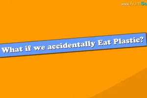 Cơ thể sẽ ra sao nếu chúng ta ‘ăn’ nhựa mỗi ngày?