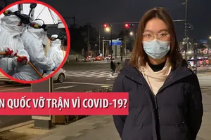Nóng từ Hàn Quốc: Người Việt kể chuyện COVID-19 hoành hành
