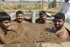 Tắm phân bò để trừ COVID-19