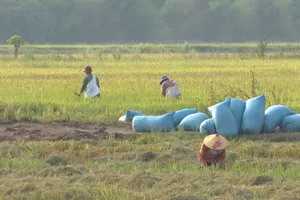 Hiệu quả từ đầu tư các công trình thủy lợi lớn tại Đắk Lắk