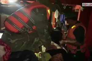 Đắk Lắk: Điều tra vụ hủy hoại hơn 3,5 ha rừng