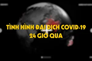 Tình hình đại dịch COVID-19 24 giờ qua