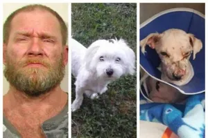 Đi tù 5 năm vì ngược đãi chó