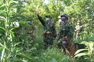 Biên phòng Hà Tĩnh căng mình ngăn ma túy tuồn qua biên giới