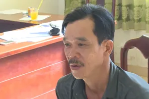 Khởi tố đối tượng trồng trái phép hơn 500 cây cần sa