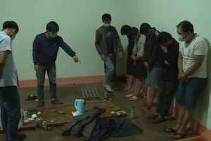 Bắt nhóm trộm chó chuyên nghiệp sử dụng bột cay để chống trả