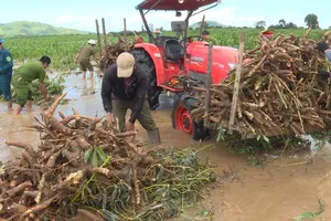 Công an giúp sơ tán, di dời tài sản người dân vùng ngập lụt