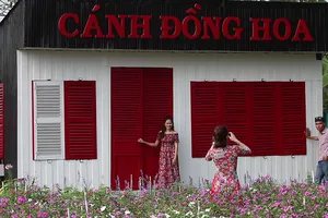 Video: Cánh đồng hoa bên sông Sài Gòn hút khách ngày đầu năm 