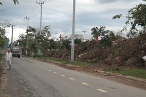 Video: Bãi rác cây xanh gây ô nhiễm giữa khu dân cư